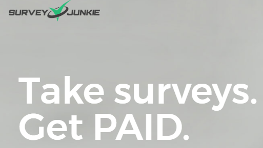 What is Survey Junkie? A Scam? | Fulltimehomebusiness