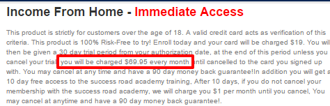 IncomefromHomeAcademycheckoutpage