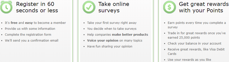 Screenshot from the One Opinion website showing how the site works