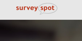 I Survey Spot