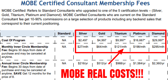 Internet Funnel System Mobe real costs
