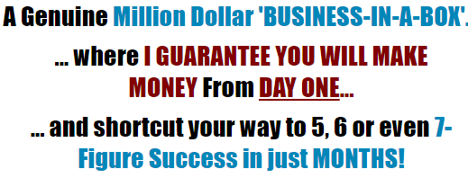 my dot com business franchise sales page