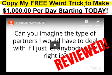 your dream websites reviewed