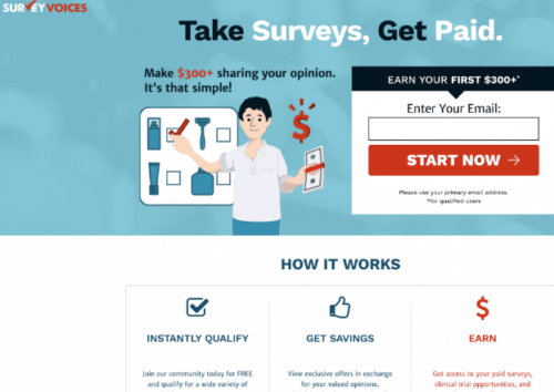 brandsneeds you - take surveys get paid
