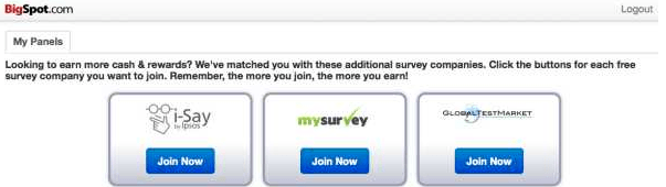 Bigspot recommended surveys