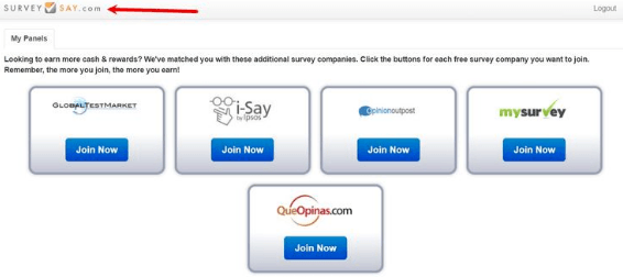 surveysay vs bigspot