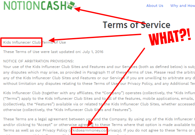 notion cash terms of use