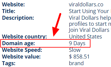 viral dollars is only 9 days old according to scam adviser