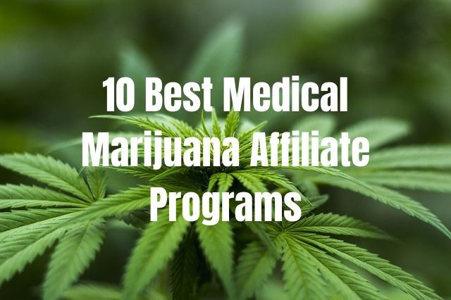 Best Medical Marijuana Affiliate Programs