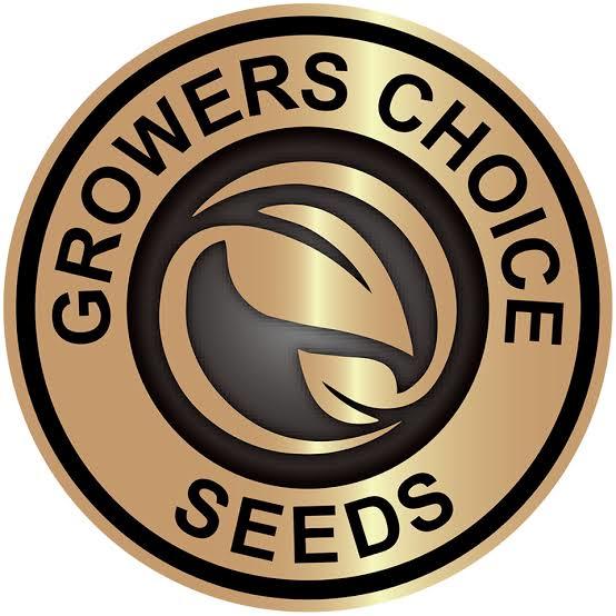 Growers Choice Seeds logo