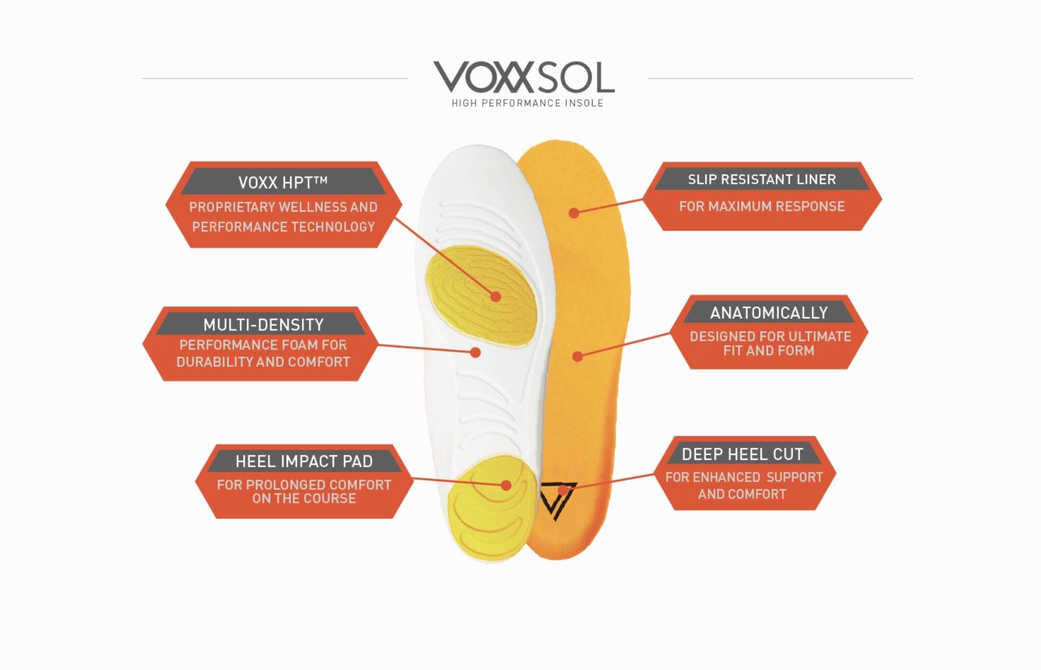 Is Voxxlife A Pyramid Scheme VoxxSol