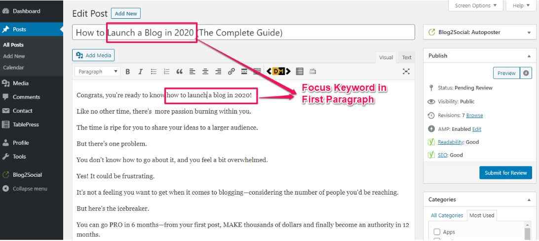 WordPress SEO 50 Actionable Tips to Rank on Google’s First Page in Less Than 50 Days Focus Keyword on first paragraph
